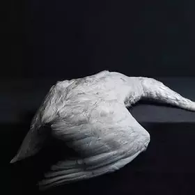 Couverture du produit · Mass VI