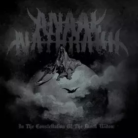 Couverture du produit · In The Constellation Of The Black Widow