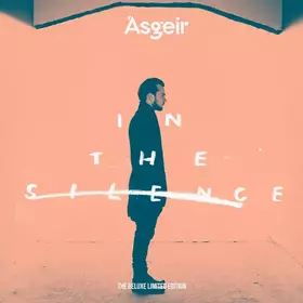 Couverture du produit · In The Silence