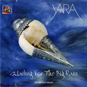 Couverture du produit · Waiting For The Big Rain