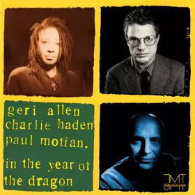 Couverture du produit · In The Year Of The Dragon