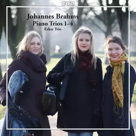 Couverture du produit · Piano Trios 1-4