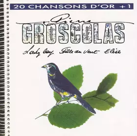 Couverture du produit · 20 Chansons d'Or + 1