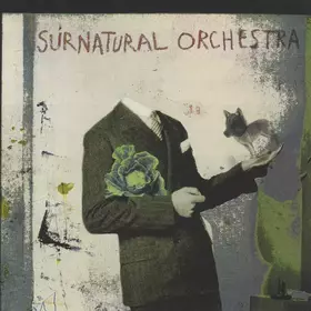 Couverture du produit · Surnatural Orchestra