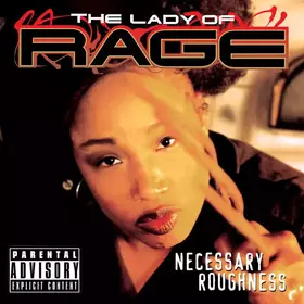 Couverture du produit · Necessary Roughness