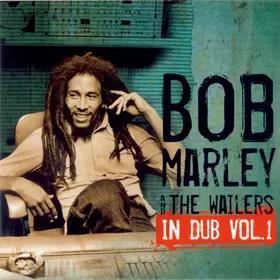 Couverture du produit · In Dub, Vol. 1