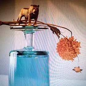 Couverture du produit · Gallipoli
