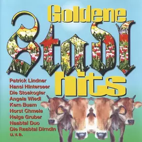 Couverture du produit · Goldene Stadlhits