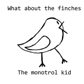 Couverture du produit · What About The Finches