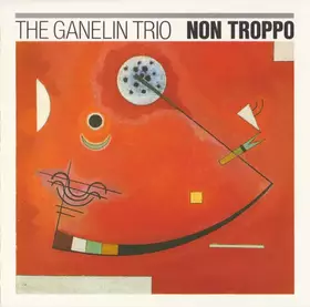 Couverture du produit · Non Troppo