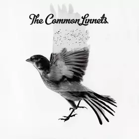 Couverture du produit · The Common Linnets