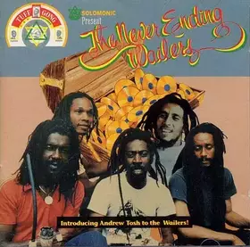 Couverture du produit · The Never Ending Wailers