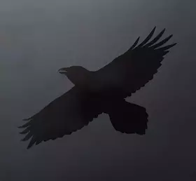 Couverture du produit · Odin's Raven Magic