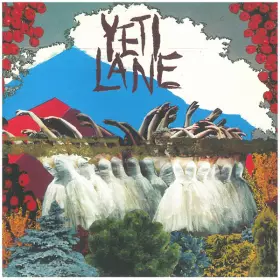 Couverture du produit · Yeti Lane