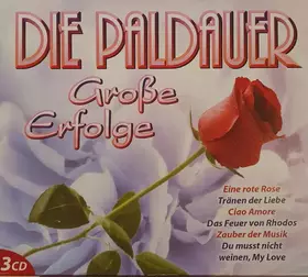 Couverture du produit · Grosse Erfolge