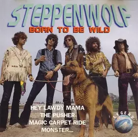 Couverture du produit · Born To Be Wild