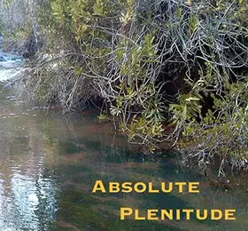 Couverture du produit · Absolute Plenitude-CD
