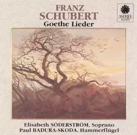 Couverture du produit · Goethe Lieder