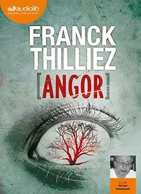 Couverture du produit · Angor: Livre audio 2 CD MP3