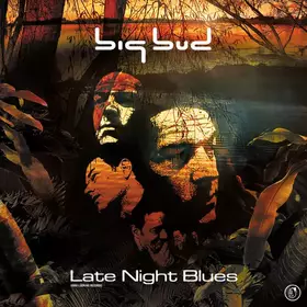 Couverture du produit · Late Night Blues