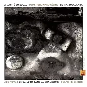 Couverture du produit · A l Agite du Bocal/un Caillou Dans la Chaussure