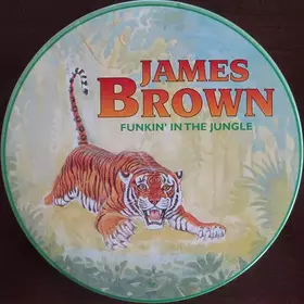 Couverture du produit · Funkin' In The Jungle