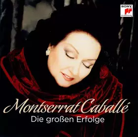 Couverture du produit · Die grossen Erfolge
