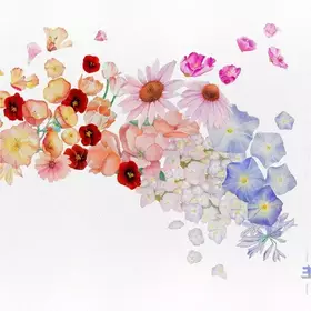 Couverture du produit · Flor