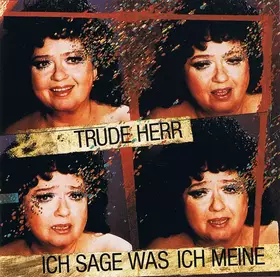 Couverture du produit · Ich Sage Was Ich Meine