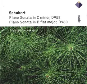 Couverture du produit · Piano Sonatas D958 & D960