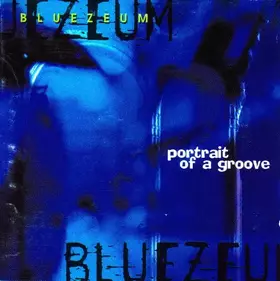 Couverture du produit · Portrait Of A Groove