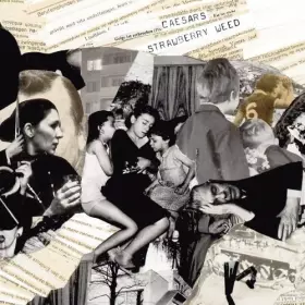 Couverture du produit · Strawberry Weed