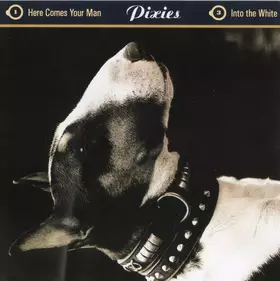 Couverture du produit · Here Comes Your Man
