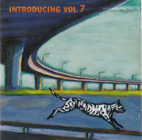 Couverture du produit · Introducing Vol 7