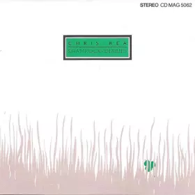 Couverture du produit · Shamrock Diaries