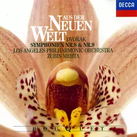 Couverture du produit · Symphonien Nr.8 & Nr.9