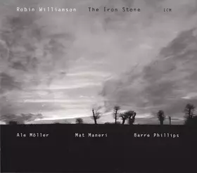 Couverture du produit · The Iron Stone