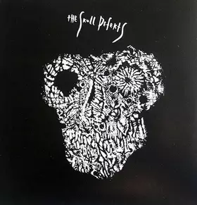 Couverture du produit · The Skull Defekts
