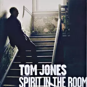 Couverture du produit · Spirit In The Room