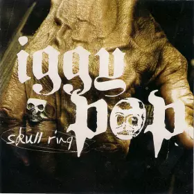 Couverture du produit · Skull Ring