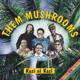 Couverture du produit · Kazi Ni Kazi