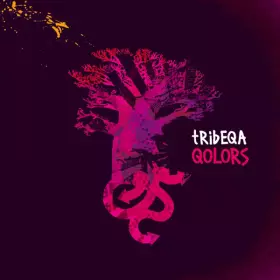 Couverture du produit · Qolors