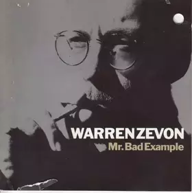 Couverture du produit · Mr. Bad Example