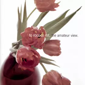 Couverture du produit · The Amateur View