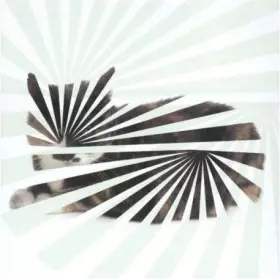 Couverture du produit · Poor Aim: Love Songs