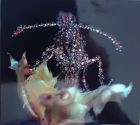 Couverture du produit · Eye Contact