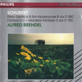 Couverture du produit · Sonata In B Flat, D.960 / "Wanderer" Fantasia