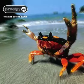 Couverture du produit · The Fat Of The Land