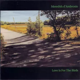 Couverture du produit · Love Is For The Birds