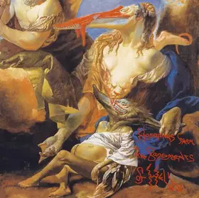 Couverture du produit · Hosannas From The Basements Of Hell